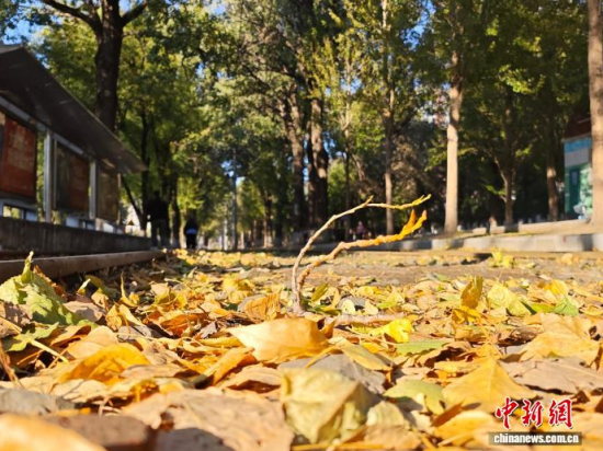 �S��54·��܉�܇�ؾ��h(hu��n)��������������߅�Lò�����������S���~䁝M·�档���� ���z