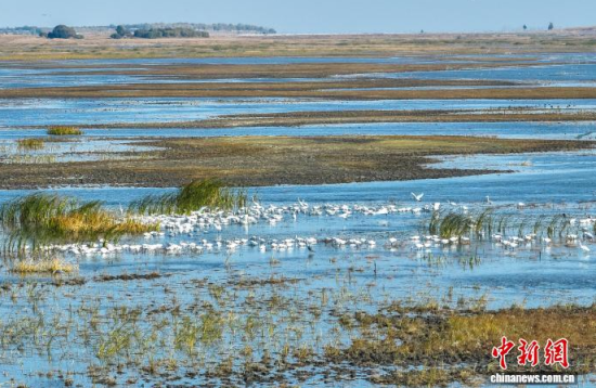 10��16��������ĪĪ���(gu��)�Ҽ�(j��)��Ȼ���o(h��)�^(q��)��(n��i)�������ڑ�ˮ��(�o(w��)�˙C(j��)��Ƭ)�w��� �z