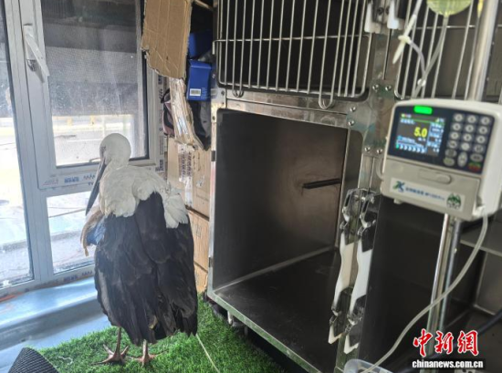 �܂��Ė|�����X���ڽ���ݔҺ�ί�����ʯ���� �z