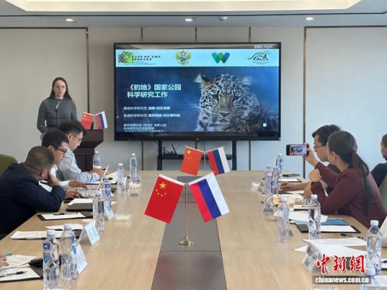 ���_˹���ҷ������o�|������(j��ng)��������� �z